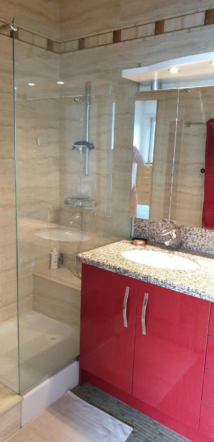 Appartement Lumineux De 90 M2 Situe En Centre Ville อานซี ภายนอก รูปภาพ