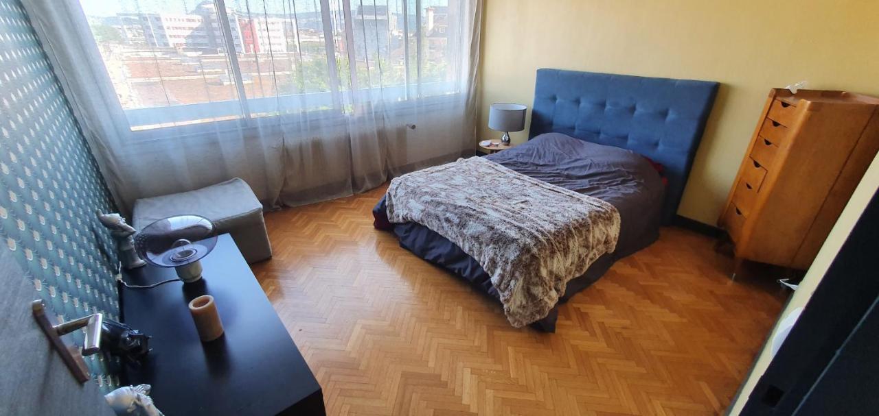 Appartement Lumineux De 90 M2 Situe En Centre Ville อานซี ภายนอก รูปภาพ